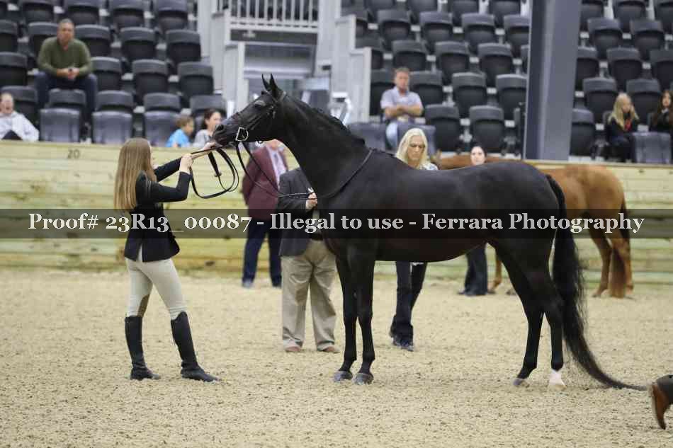 Proof Number 23R13_00087