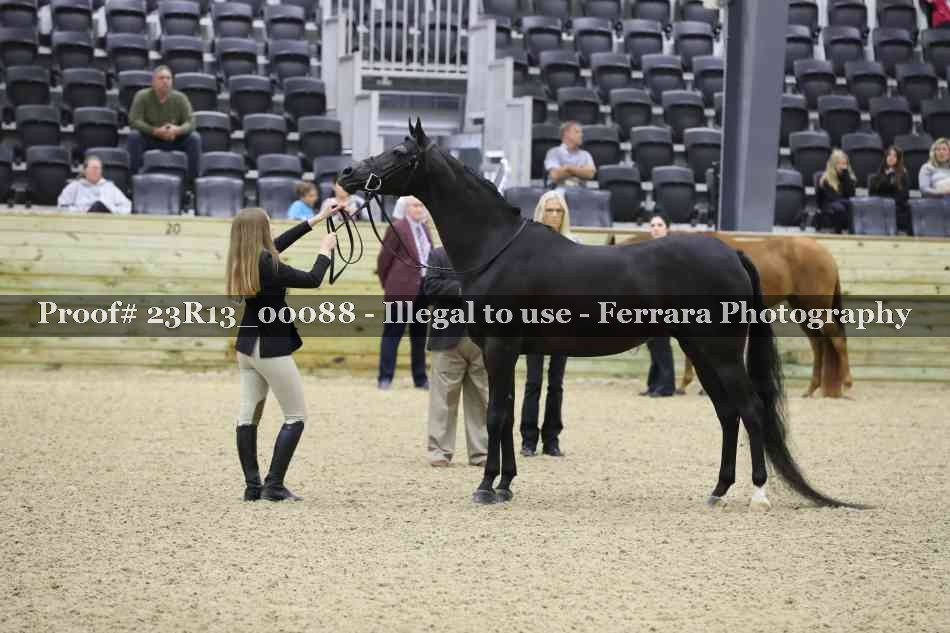 Proof Number 23R13_00088