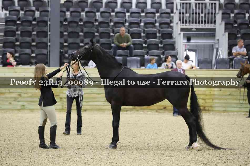 Proof Number 23R13_00089