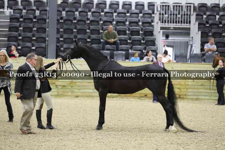 Proof Number 23R13_00090