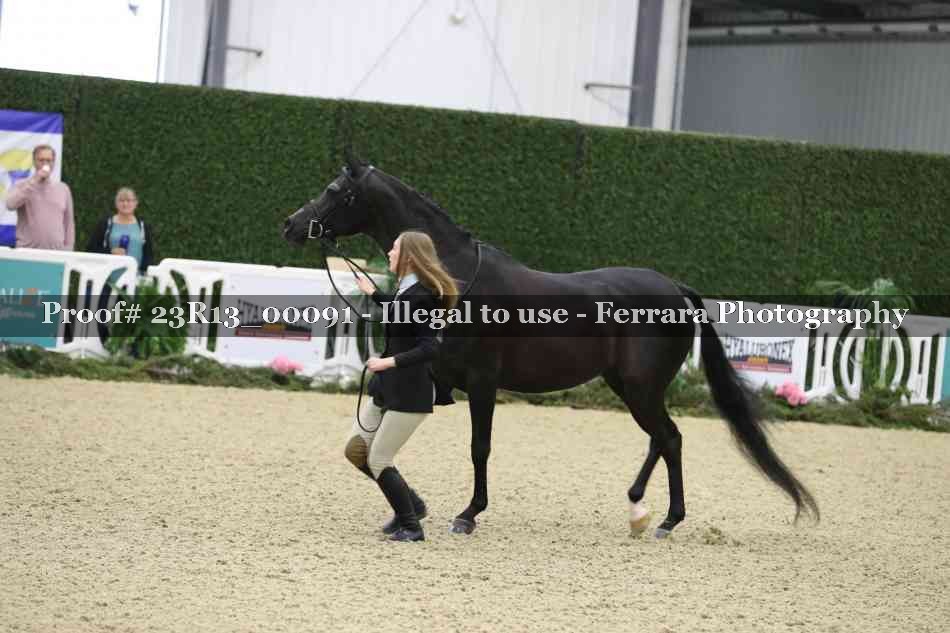 Proof Number 23R13_00091