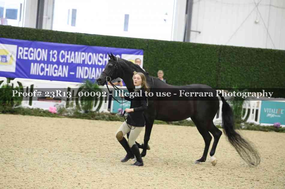 Proof Number 23R13_00092