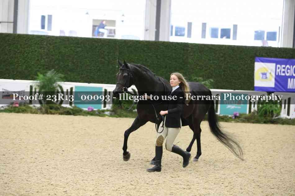 Proof Number 23R13_00093