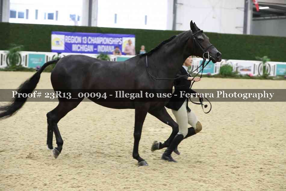 Proof Number 23R13_00094