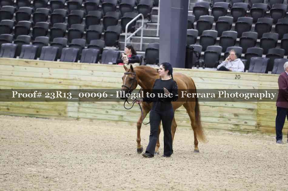 Proof Number 23R13_00096
