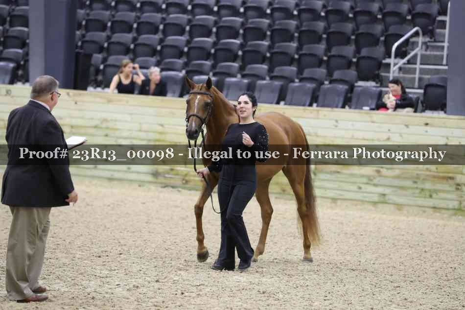 Proof Number 23R13_00098