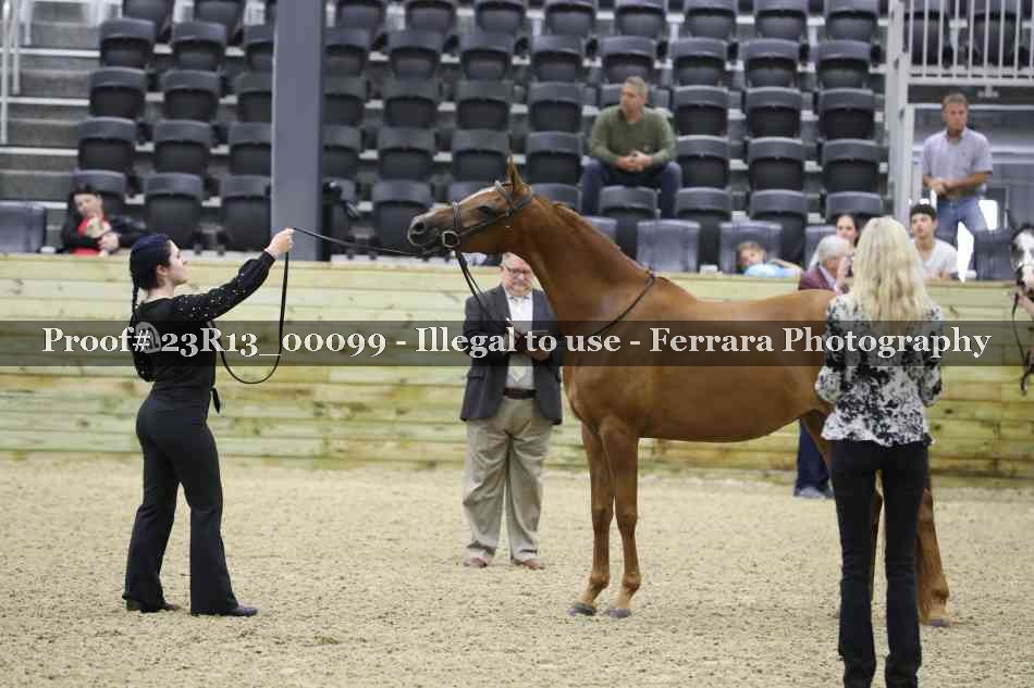 Proof Number 23R13_00099