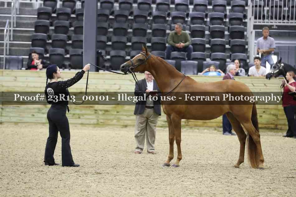Proof Number 23R13_00101