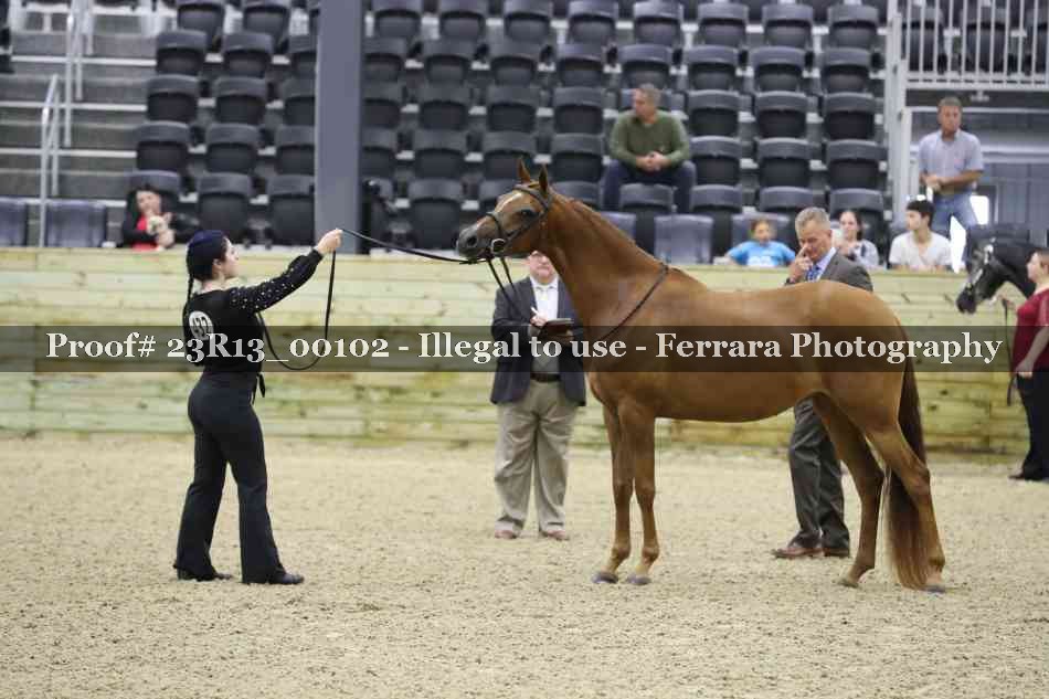 Proof Number 23R13_00102