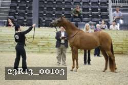 23R13_00103 thumbnail