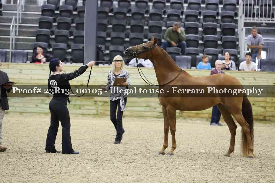 Proof Number 23R13_00105
