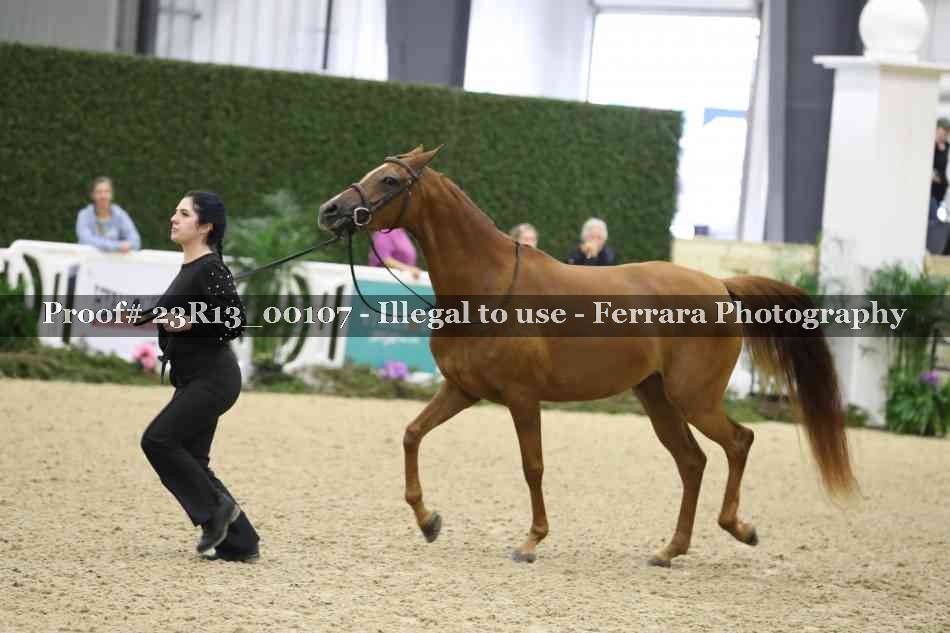 Proof Number 23R13_00107