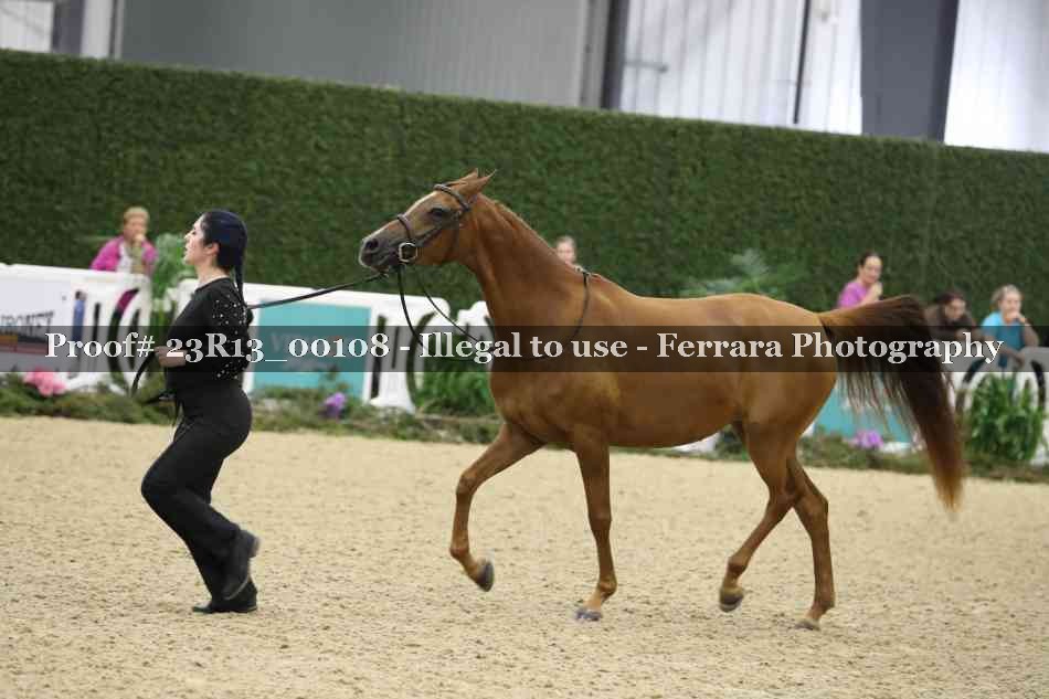 Proof Number 23R13_00108