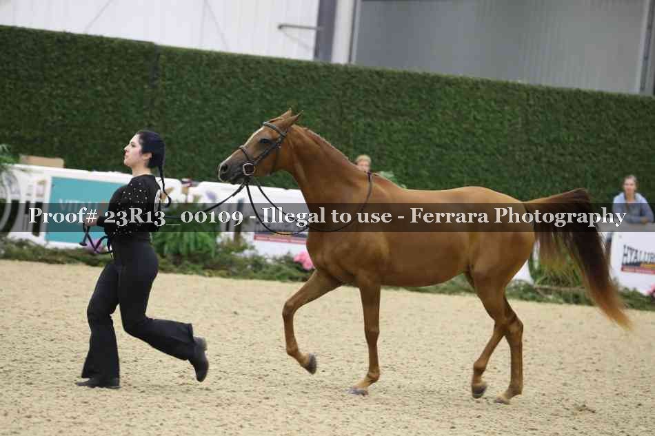 Proof Number 23R13_00109