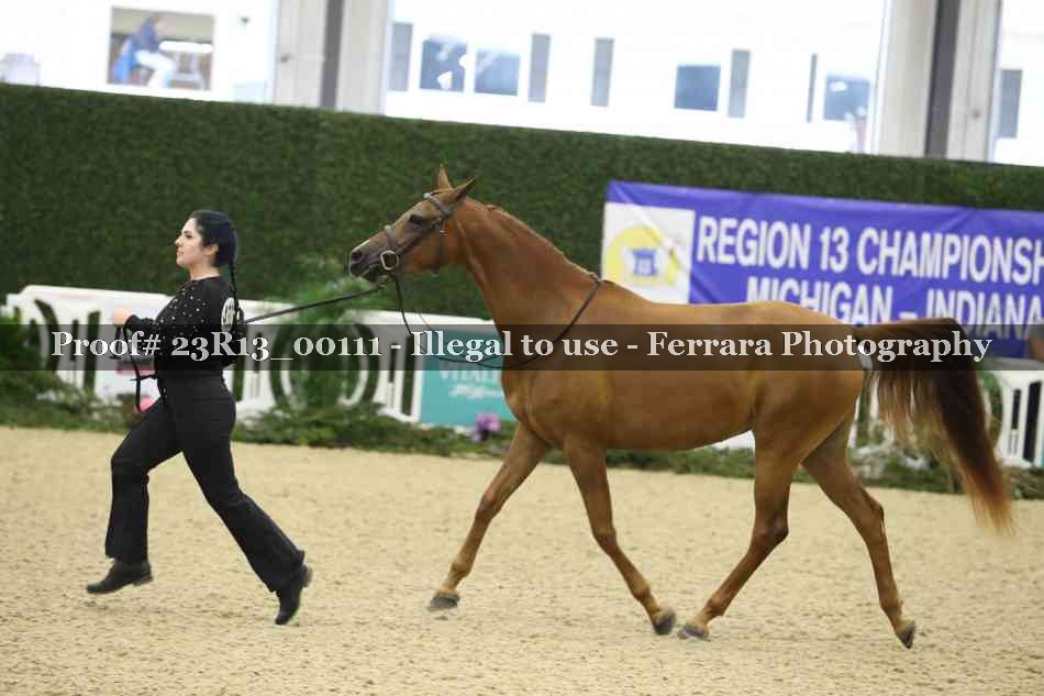 Proof Number 23R13_00111
