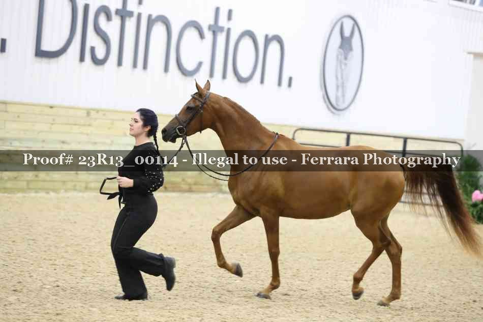 Proof Number 23R13_00114