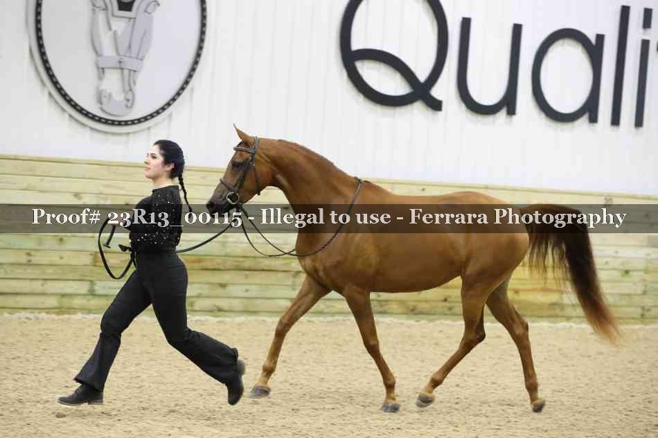 Proof Number 23R13_00115