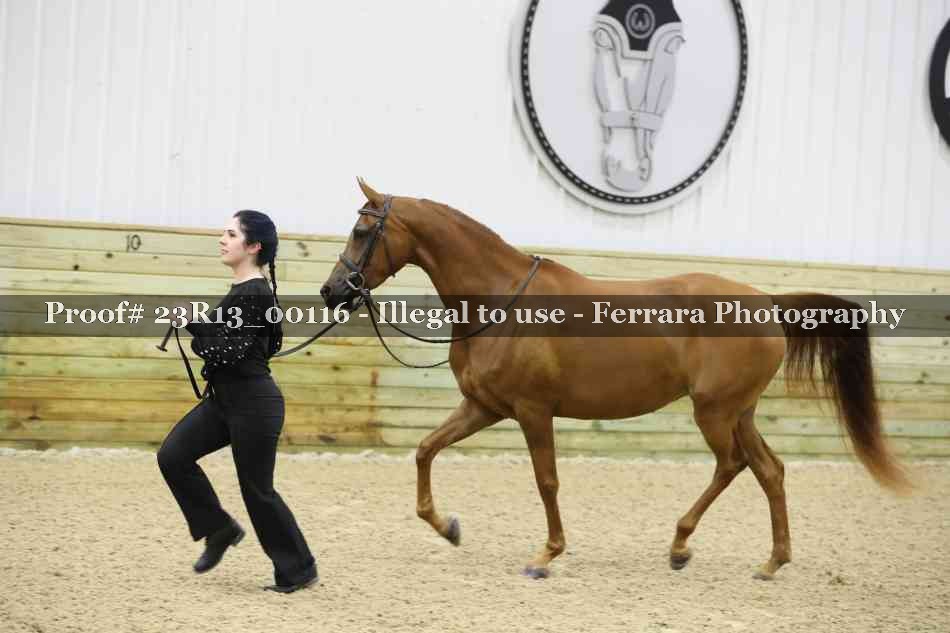 Proof Number 23R13_00116