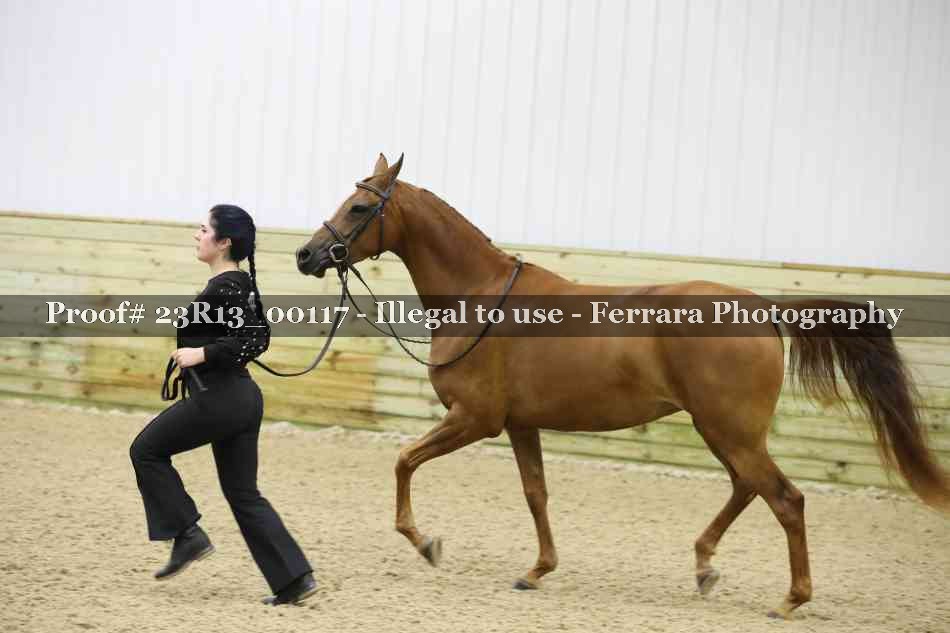 Proof Number 23R13_00117