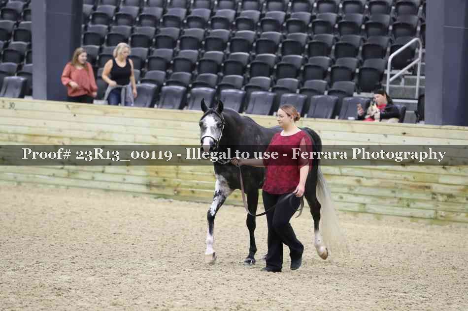 Proof Number 23R13_00119