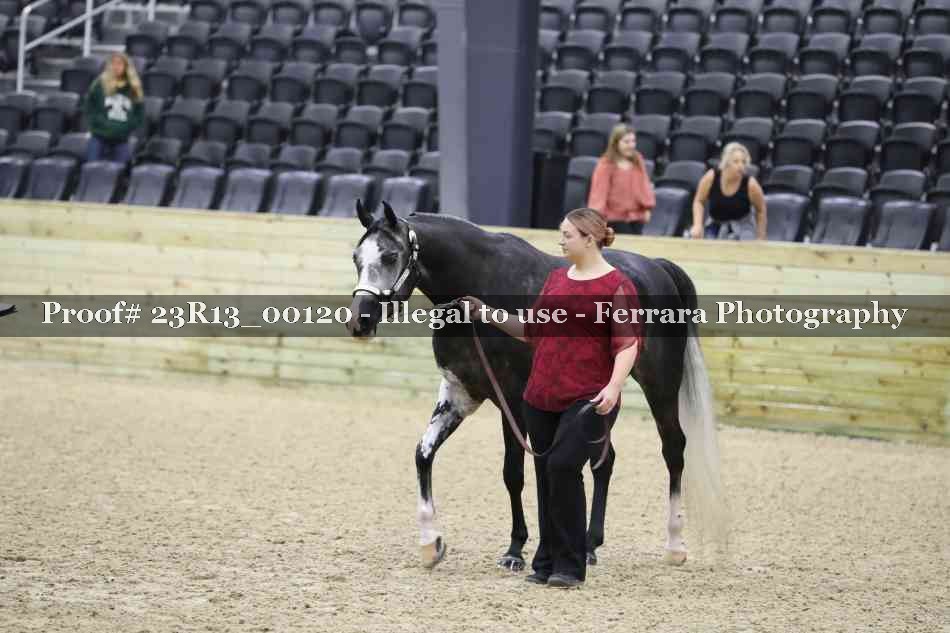 Proof Number 23R13_00120
