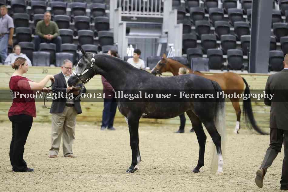 Proof Number 23R13_00121