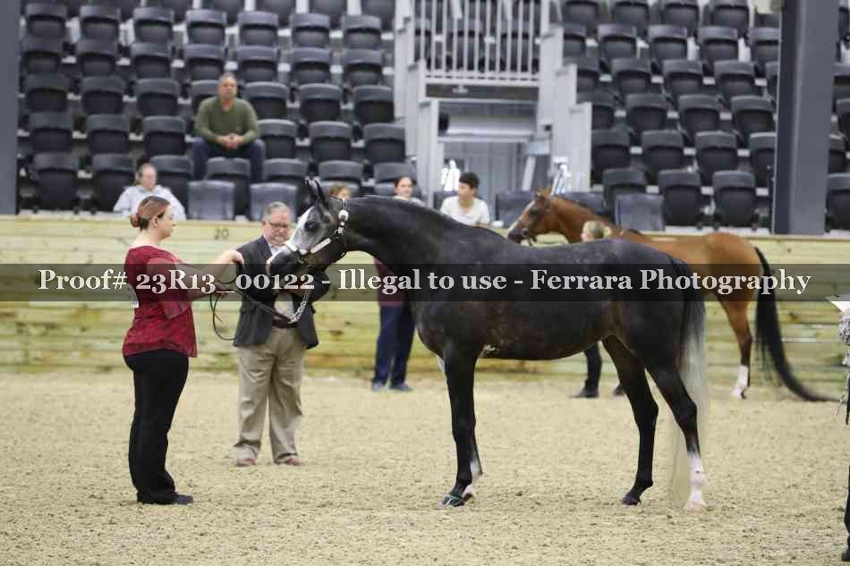 Proof Number 23R13_00122