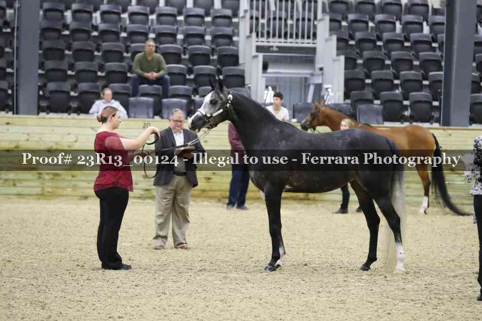 Proof Number 23R13_00124