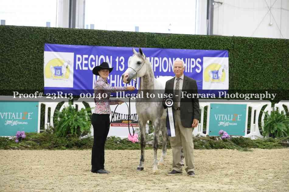 Proof Number 23R13_00140