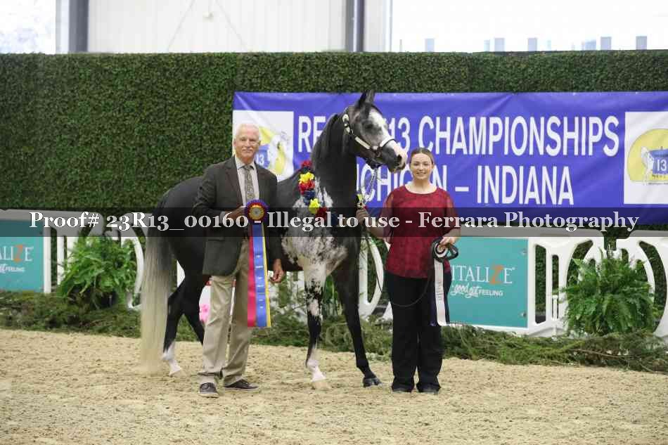 Proof Number 23R13_00160