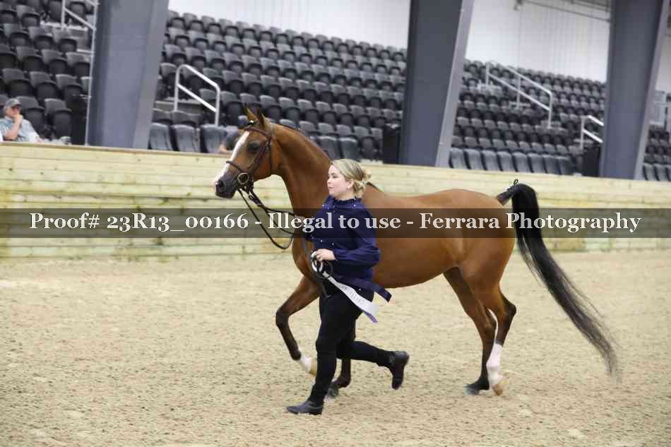 Proof Number 23R13_00166