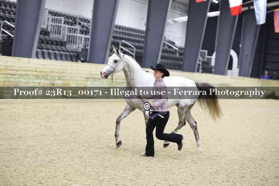 Proof Number 23R13_00171