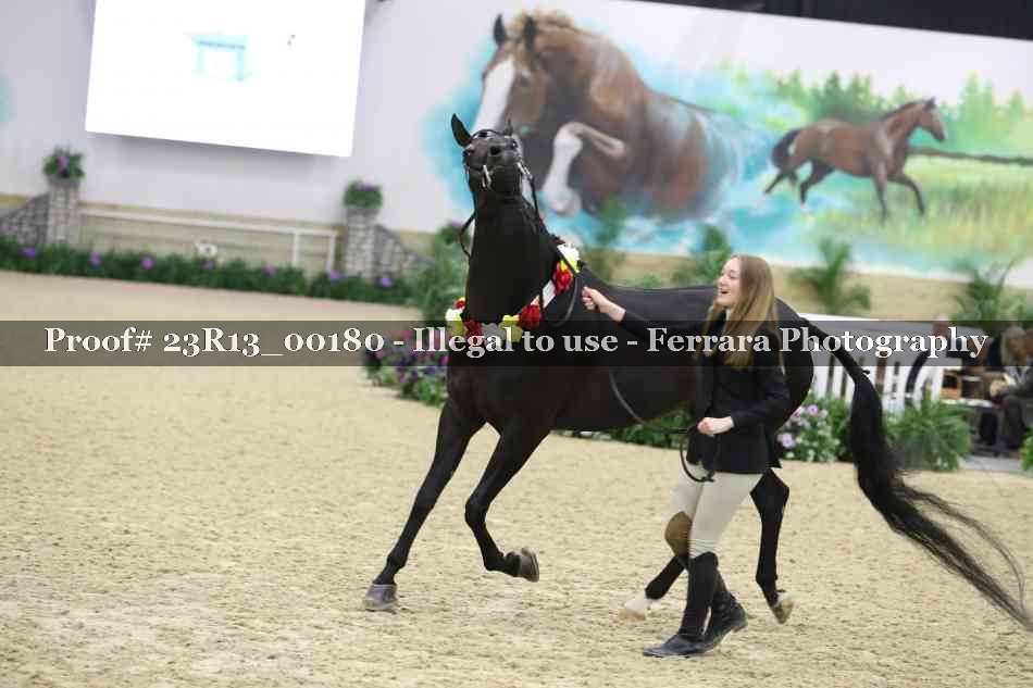 Proof Number 23R13_00180