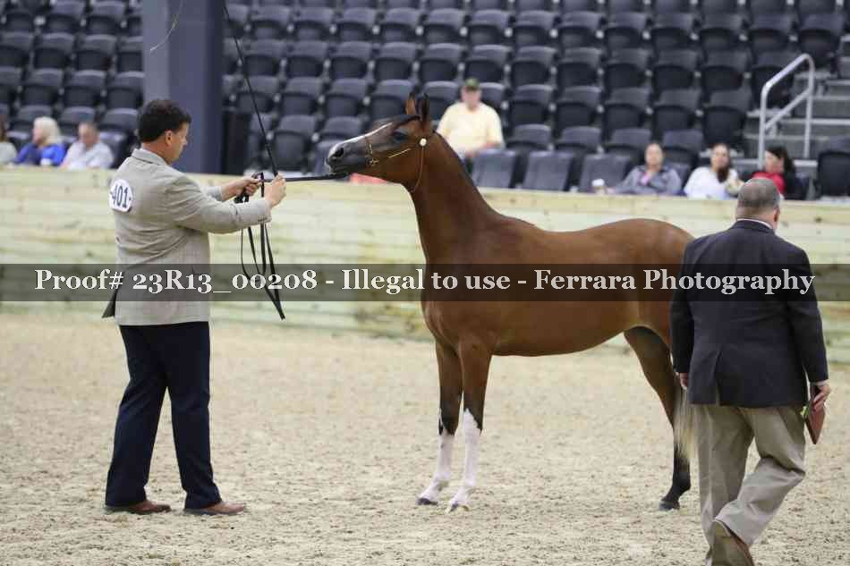 Proof Number 23R13_00208
