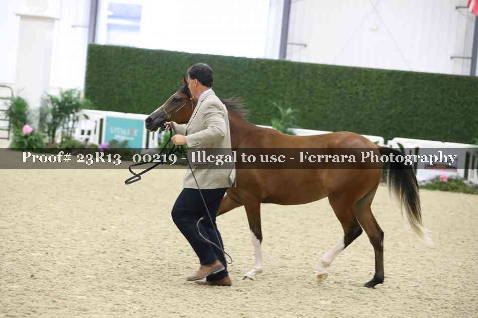 Proof Number 23R13_00219