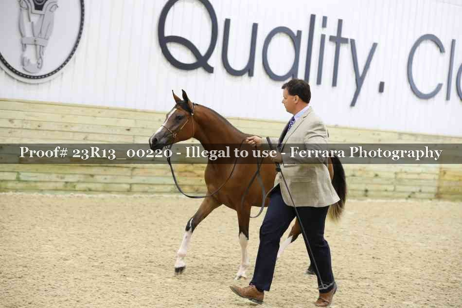 Proof Number 23R13_00220