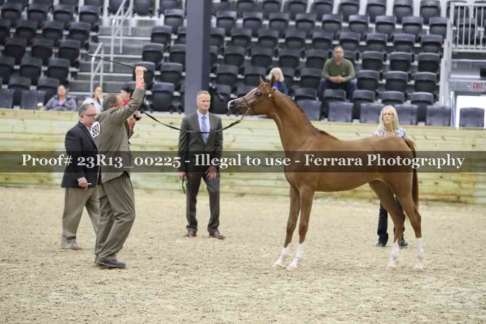 Proof Number 23R13_00225
