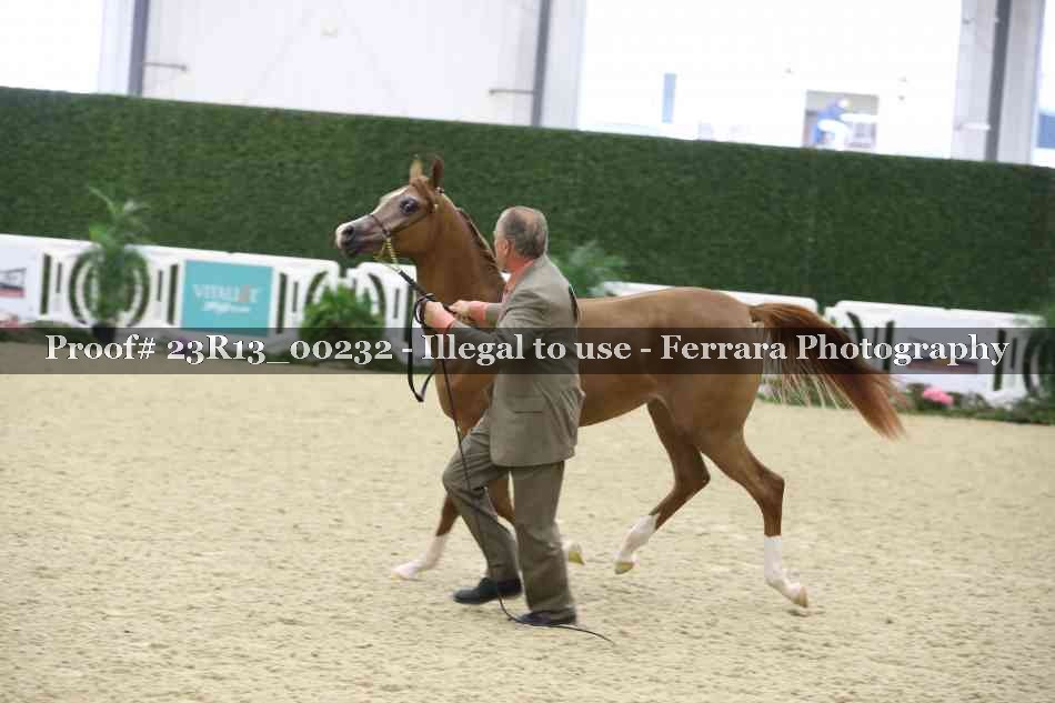 Proof Number 23R13_00232