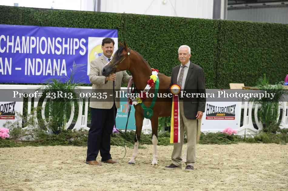 Proof Number 23R13_00235
