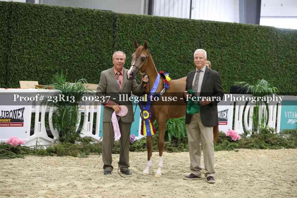 Proof Number 23R13_00237