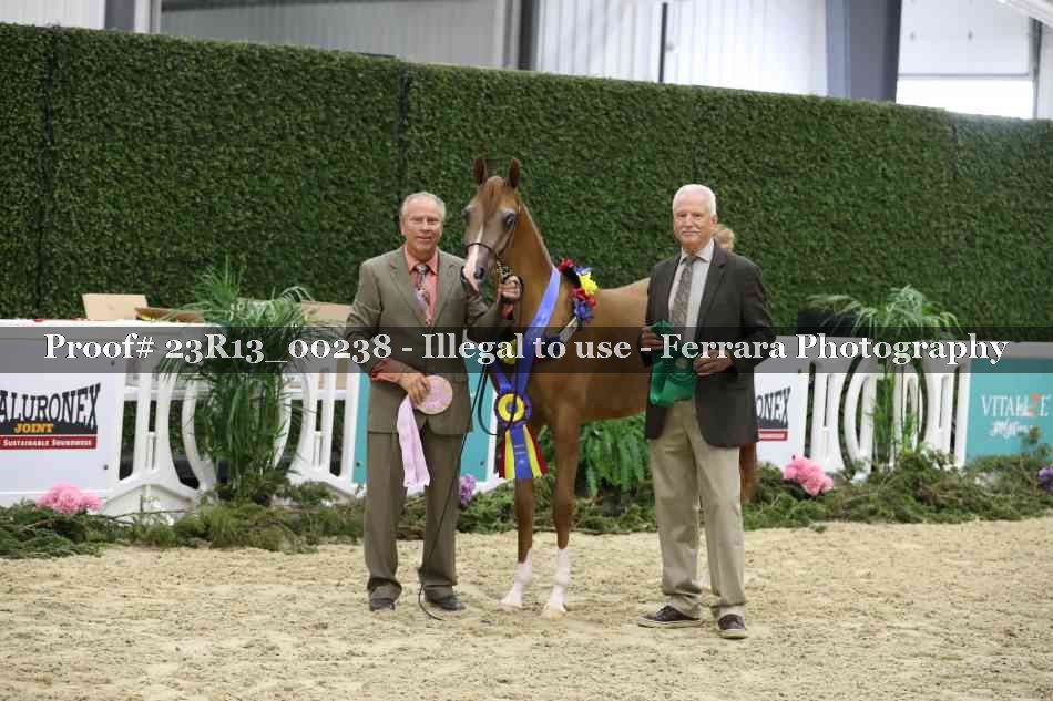 Proof Number 23R13_00238