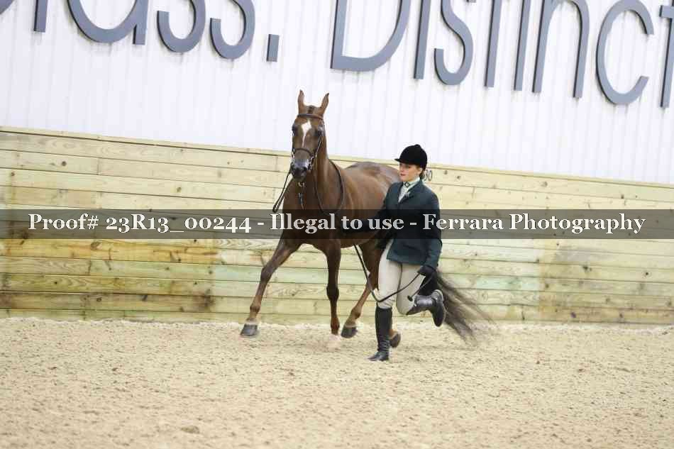 Proof Number 23R13_00244