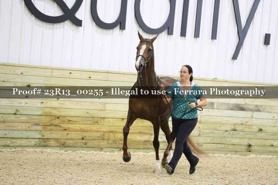 Proof Number 23R13_00255