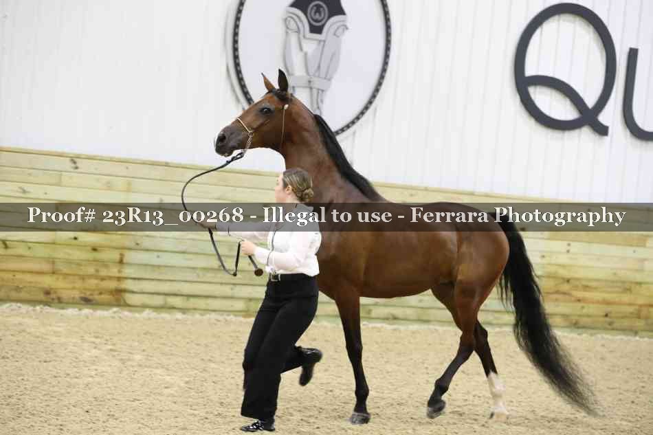Proof Number 23R13_00268