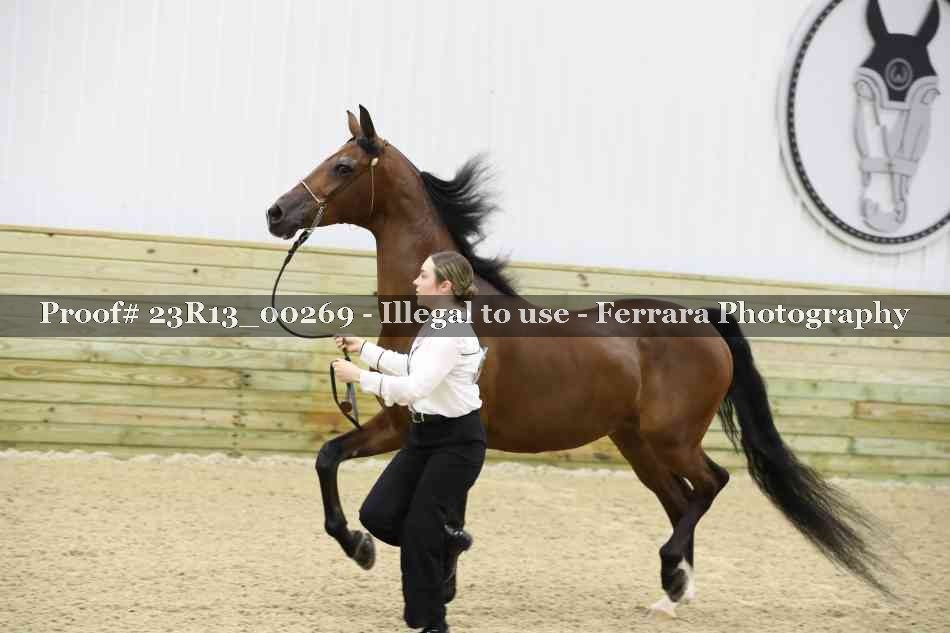 Proof Number 23R13_00269