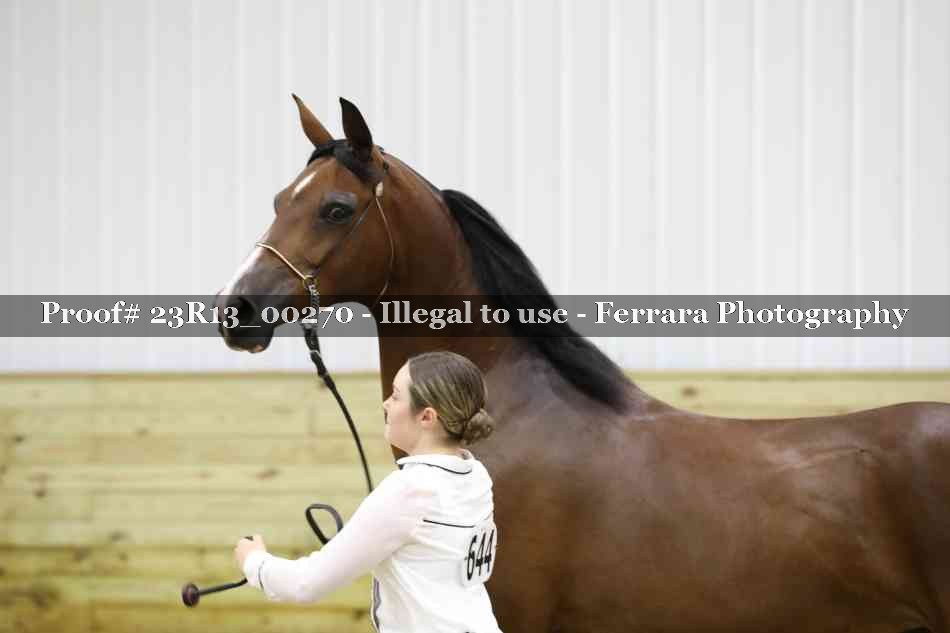 Proof Number 23R13_00270