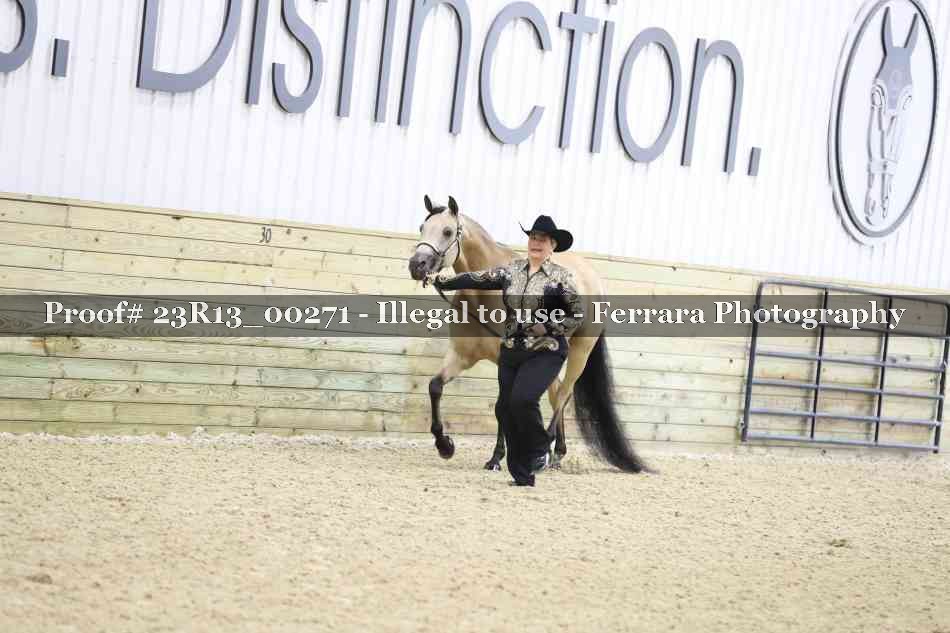 Proof Number 23R13_00271