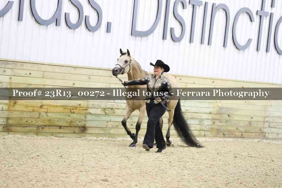 Proof Number 23R13_00272