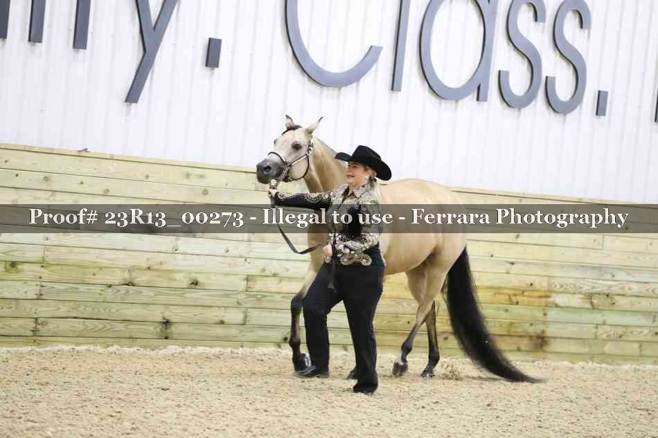 Proof Number 23R13_00273