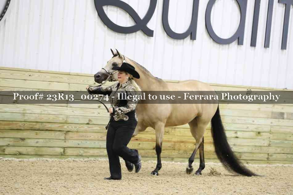 Proof Number 23R13_00274
